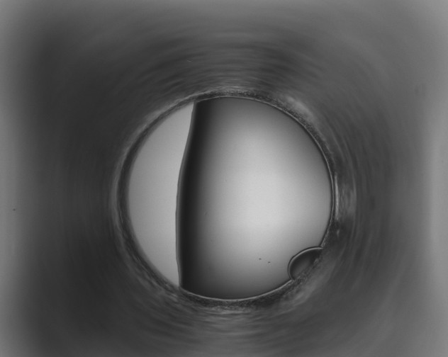 X0000089890435200706281113