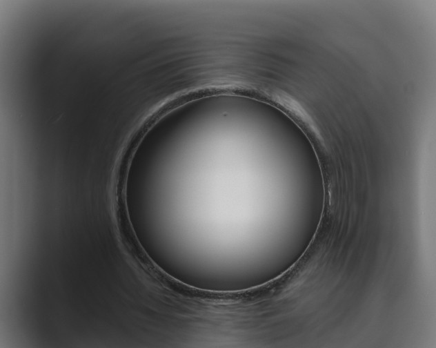 X0000089890436200706281113