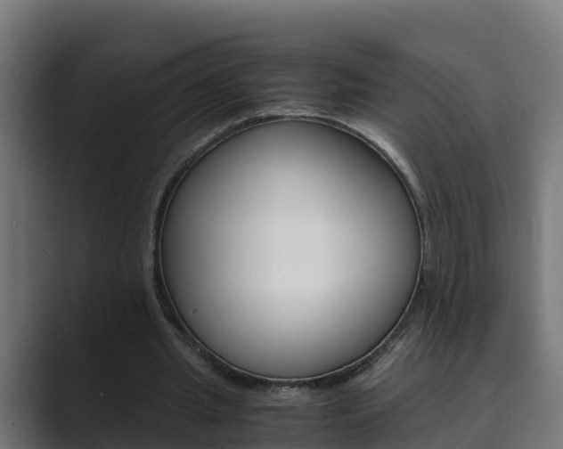 X0000089890437200706281113