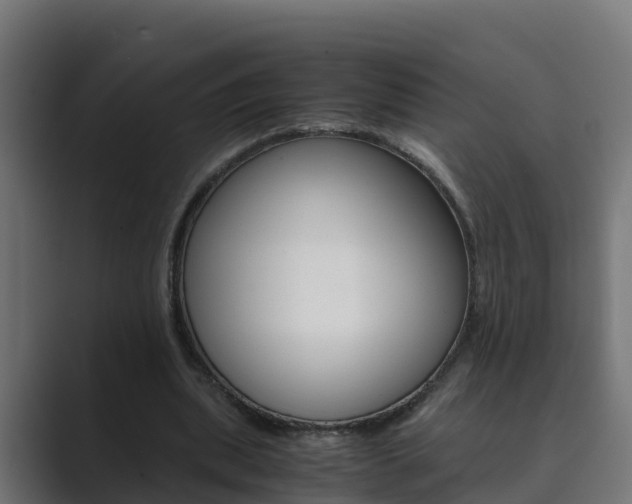 X0000089890439200706281113