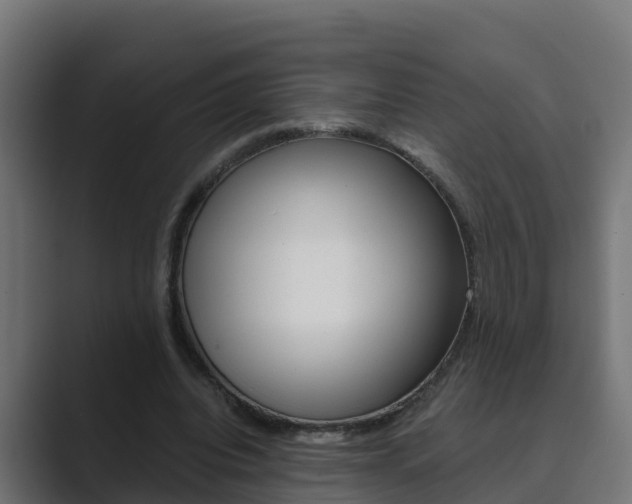 X0000089890440200706281113