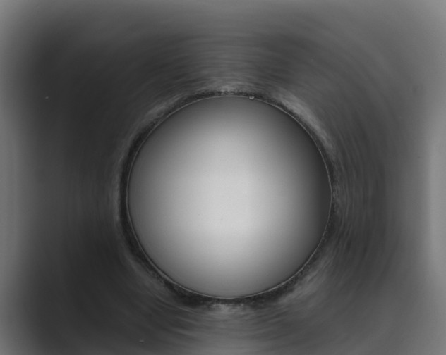X0000089890442200706281114