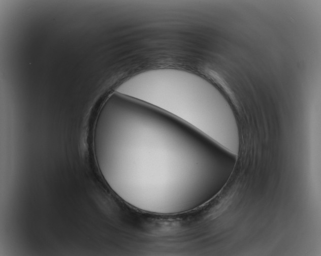 X0000089890443200706281114
