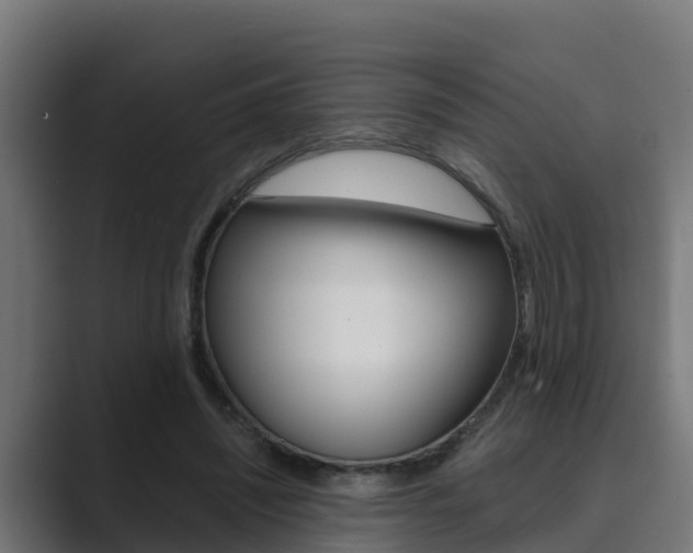 X0000089890444200706281114