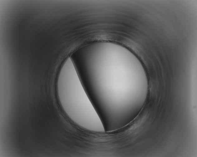 X0000089890445200706281114
