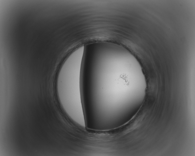 X0000089890446200706281114