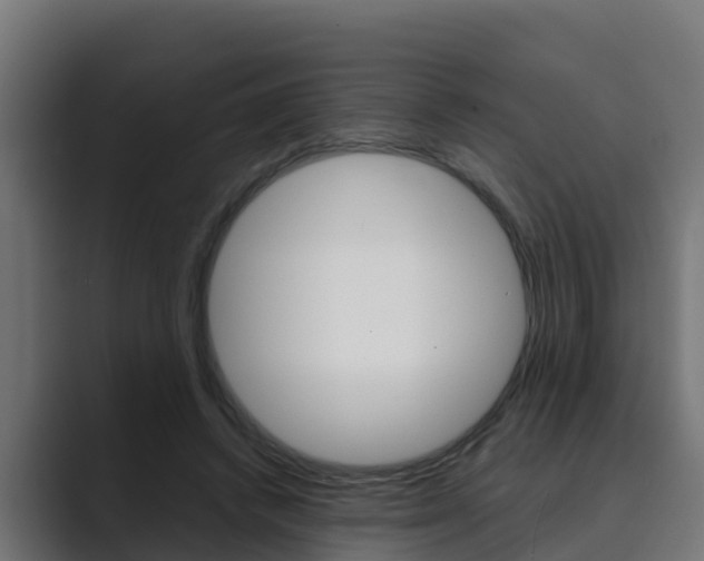 X0000089890448200706281114