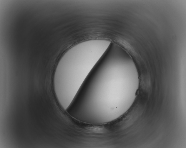 X0000089890449200706281114