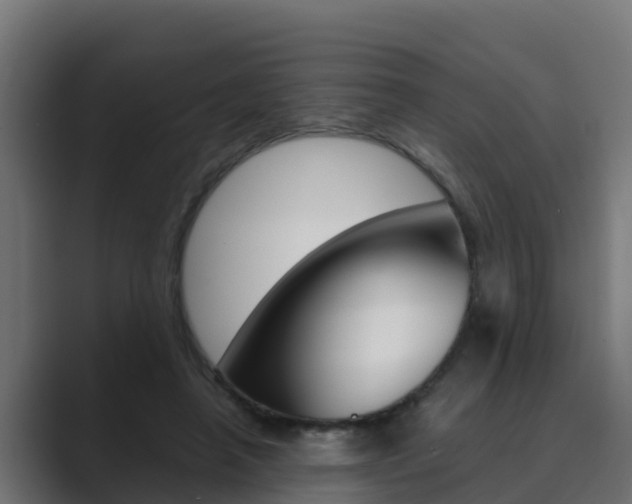 X0000089890450200706281114
