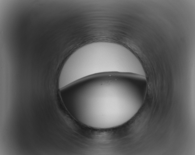X0000089890454200706281114