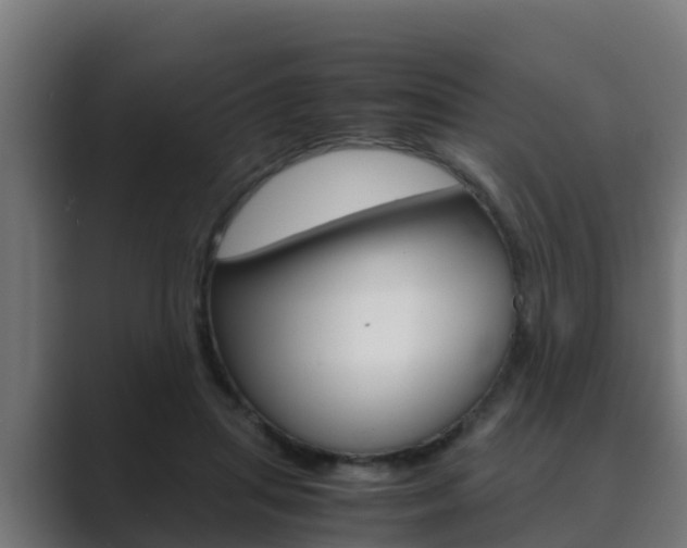X0000089890455200706281114