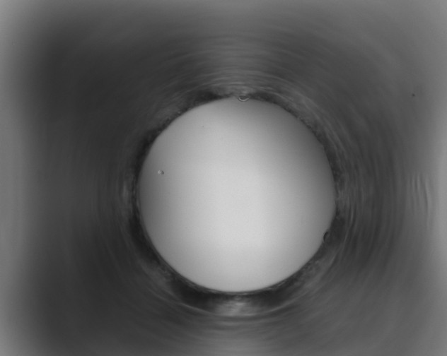 X0000089890460200706281114