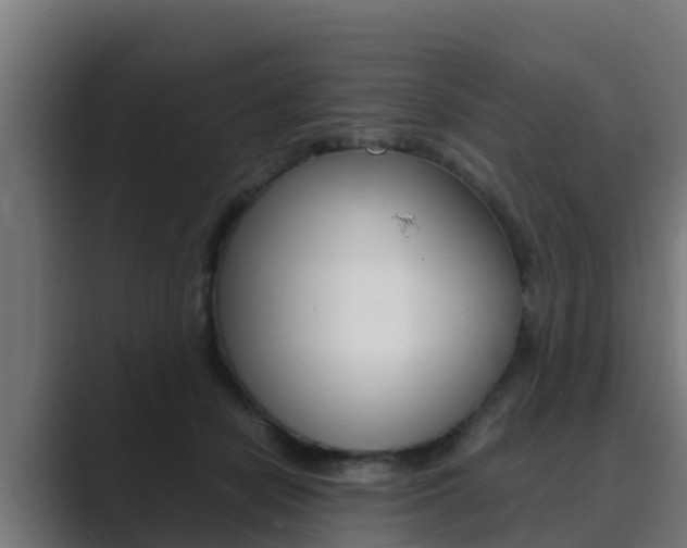 X0000089890462200706281114