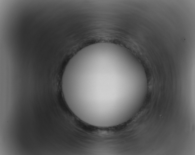 X0000089890464200706281114