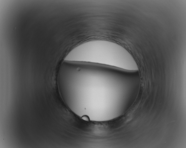 X0000089890466200706281114