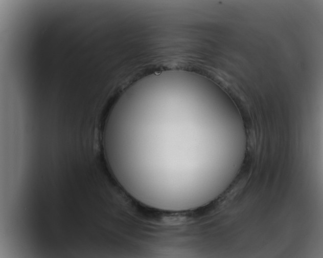 X0000089890470200706281114