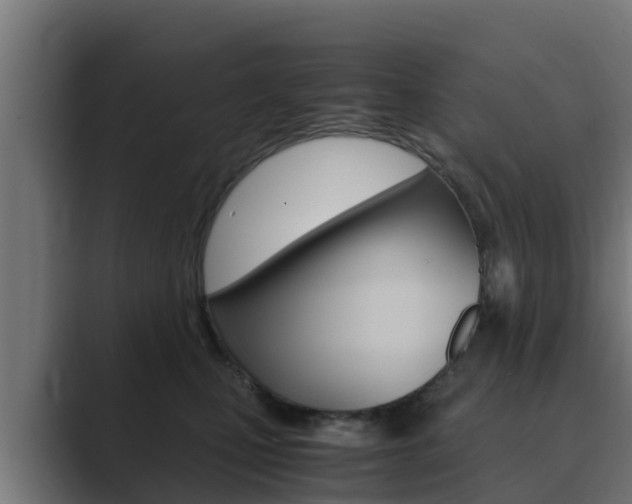 X0000089890471200706281114