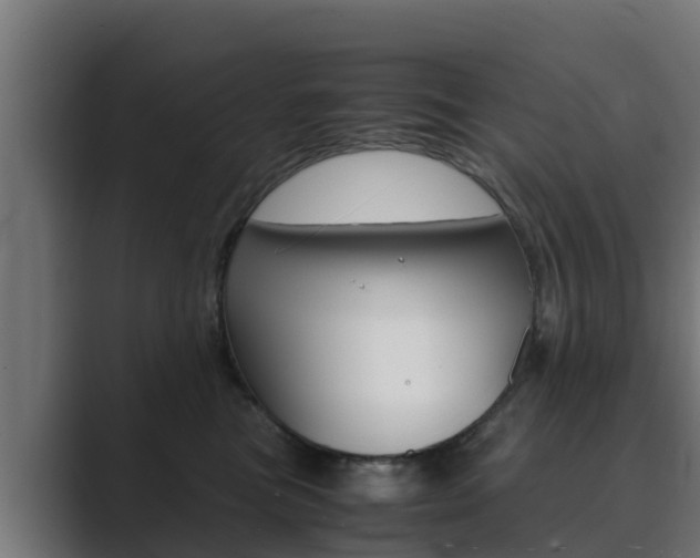 X0000089890473200706281114