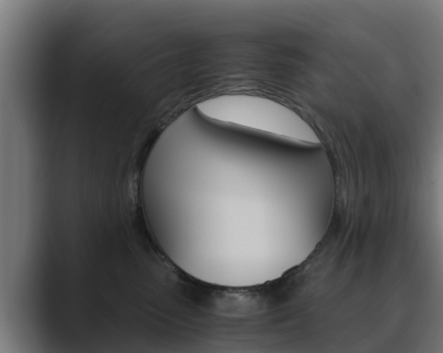 X0000089890475200706281114