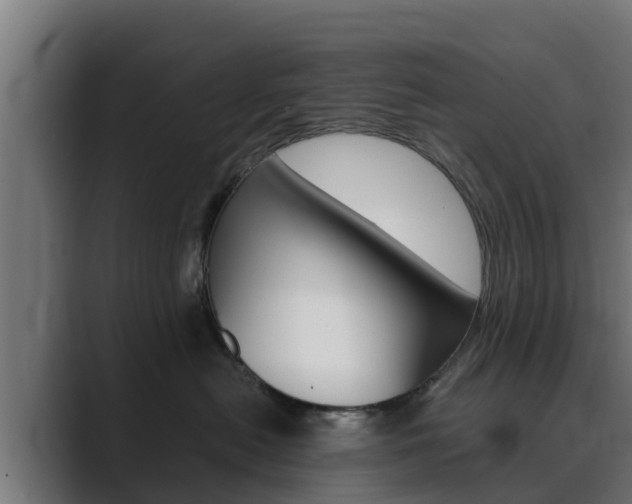 X0000089890478200706281114