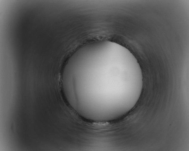 X0000089890480200706281114