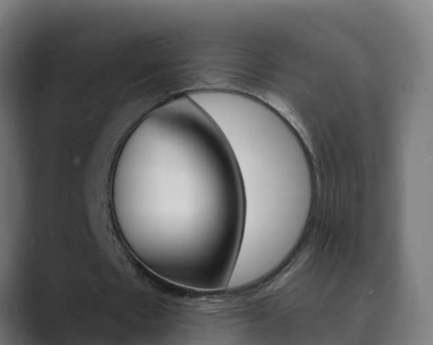 X0000089890481200706281113