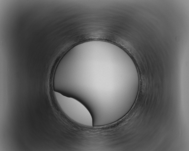 X0000089890482200706281113
