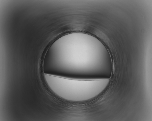 X0000089890483200706281113