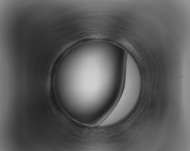X0000089890484200706281113