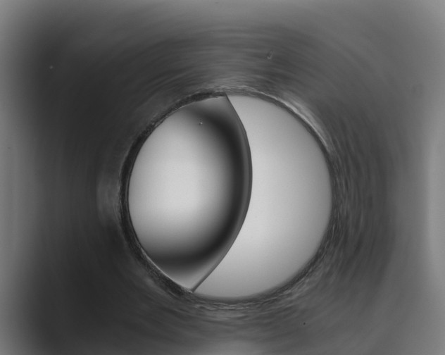 X0000089890485200706281113