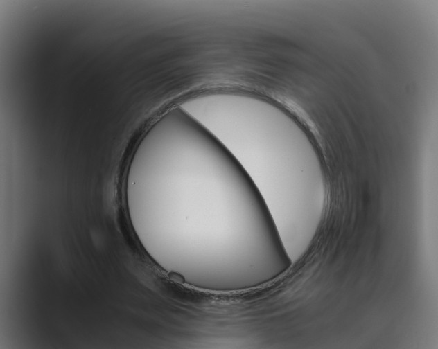 X0000089890487200706281113