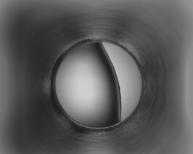 X0000089890488200706281113