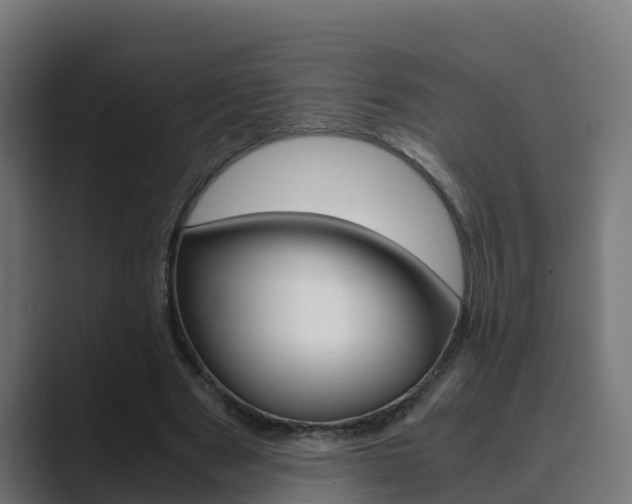 X0000089890489200706281113