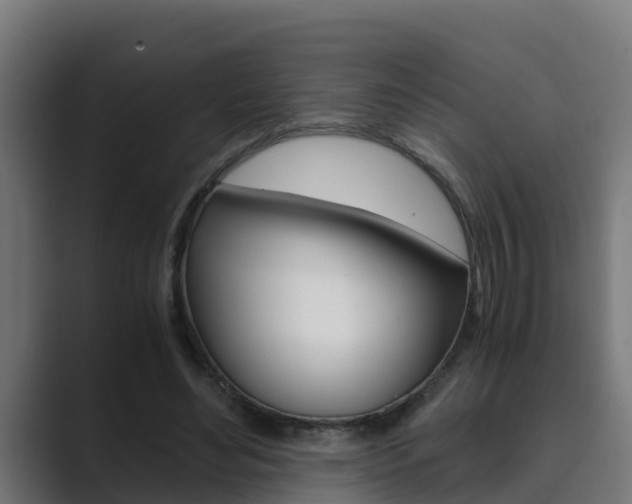X0000089890492200706281113