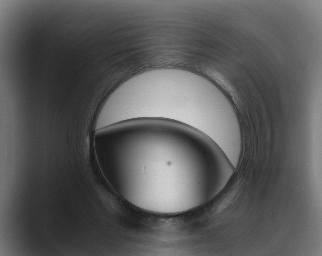 X0000089890493200706281113