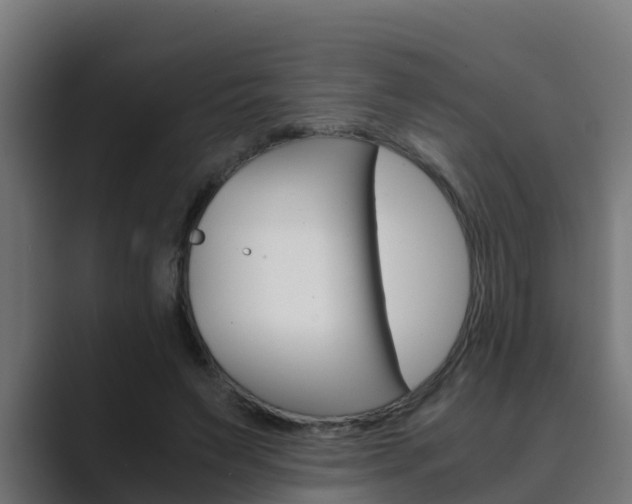 X0000089890495200706281113