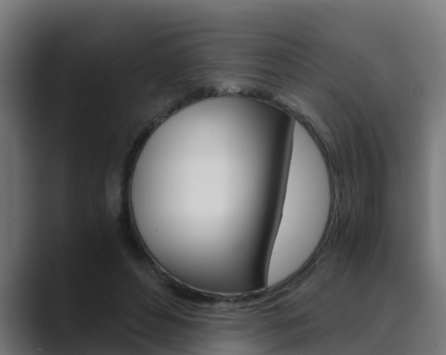 X0000089890496200706281113