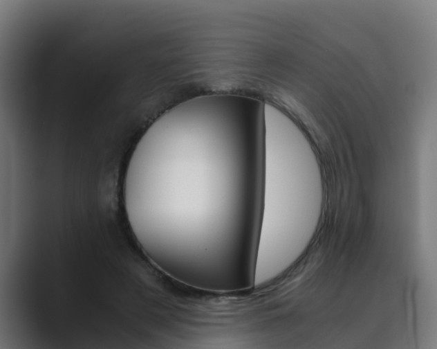 X0000089890497200706281113