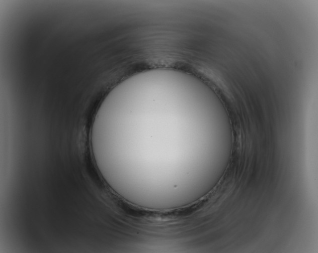 X0000089890498200706281113