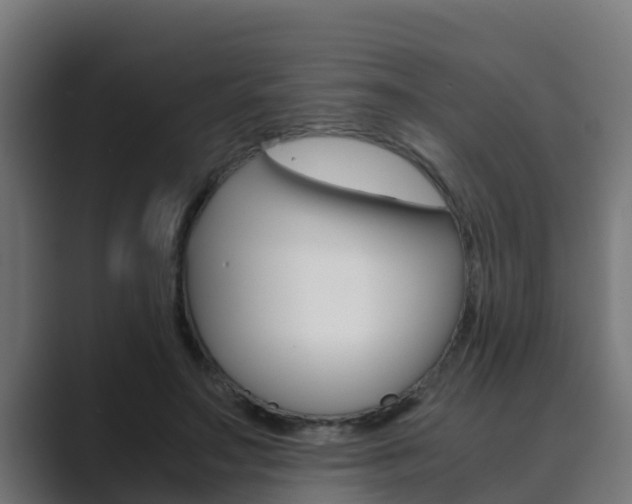 X0000089890499200706281113