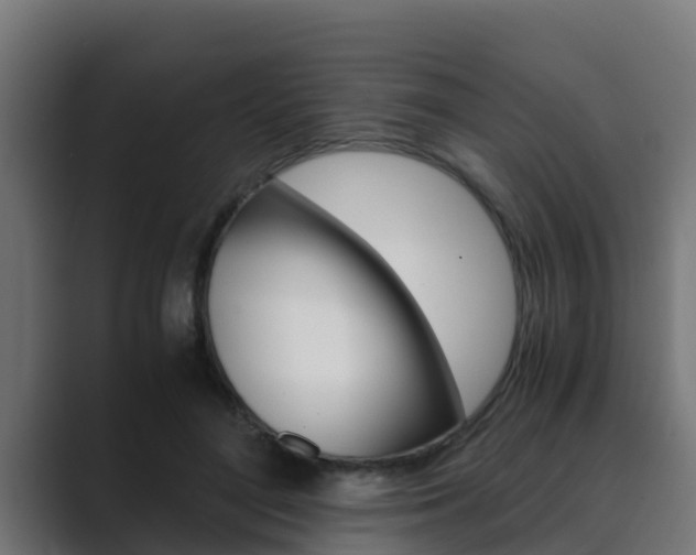 X0000089890500200706281113
