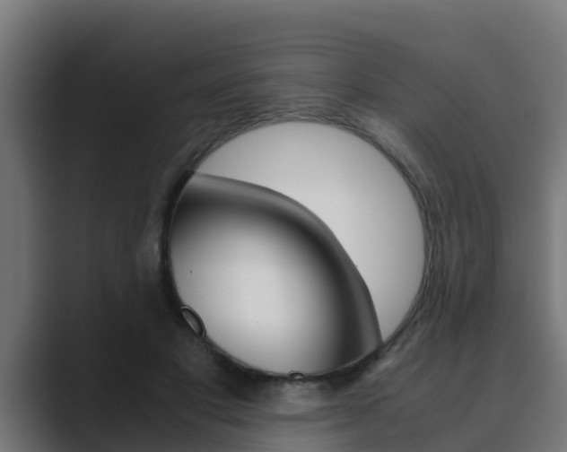 X0000089890501200706281113
