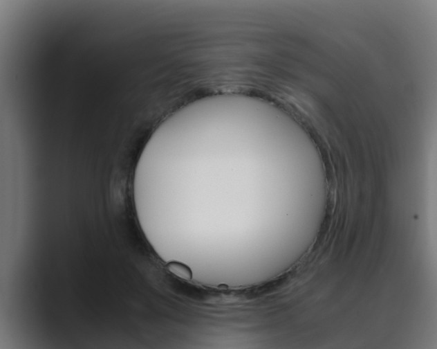 X0000089890503200706281113
