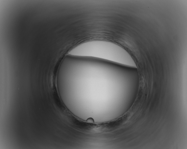 X0000089890504200706281113