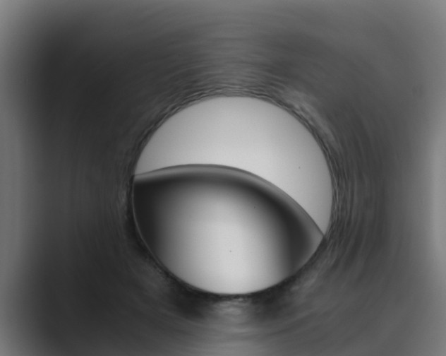 X0000089890505200706281113