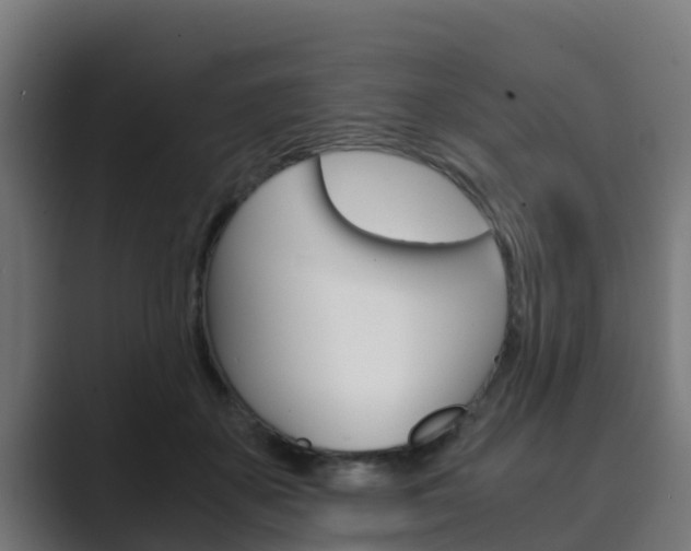 X0000089890507200706281113