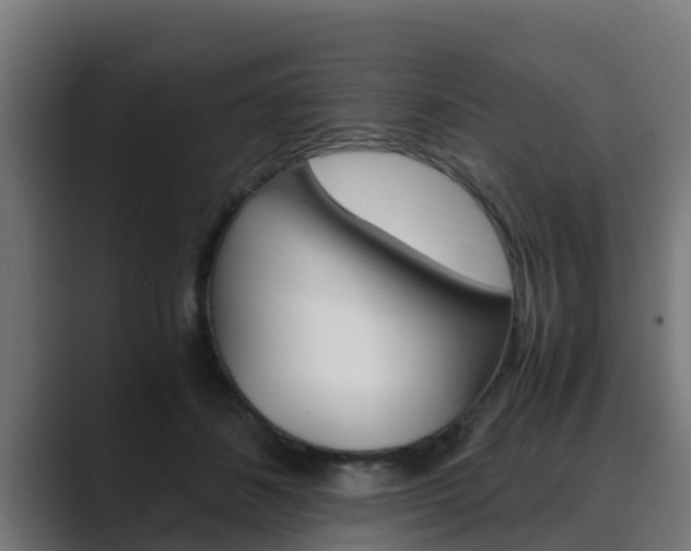 X0000089890508200706281113