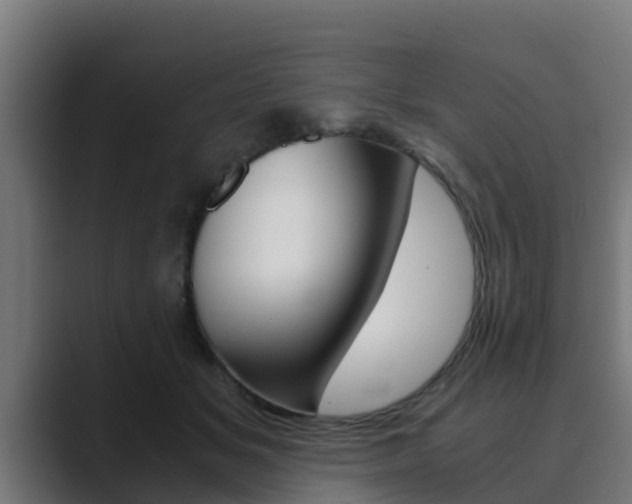 X0000089890509200706281113