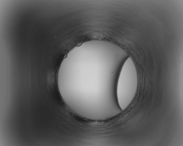 X0000089890511200706281113