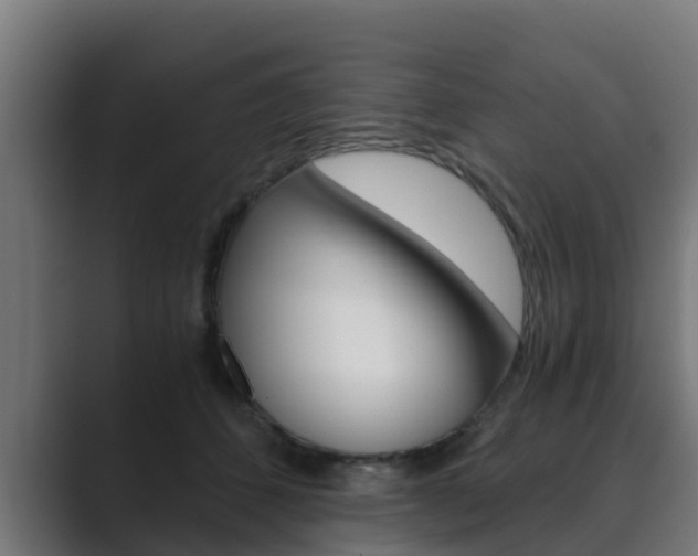 X0000089890512200706281113